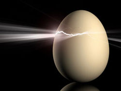 Lightning Egg