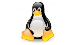 Main image of article Apache on Linux Notebook Eases File Downloads