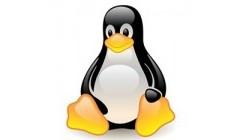 Main image of article Found a Linux Job? Tell Us How You Did It