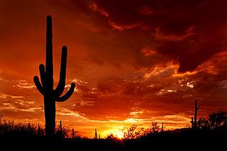 Go to article Fluor to Build 125 MW Solar Plant in Arizona