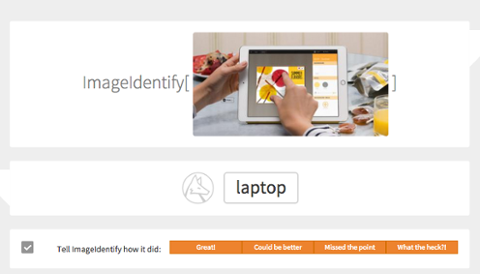 Go to article Wolfram's New Platform Can Identify Images