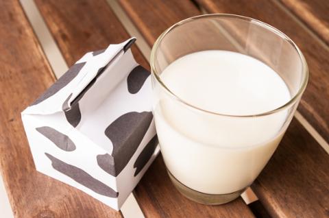Go to article Milk May Speed Up Big Data Management