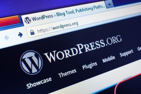 Go to article Pursuing WordPress as a Career Path