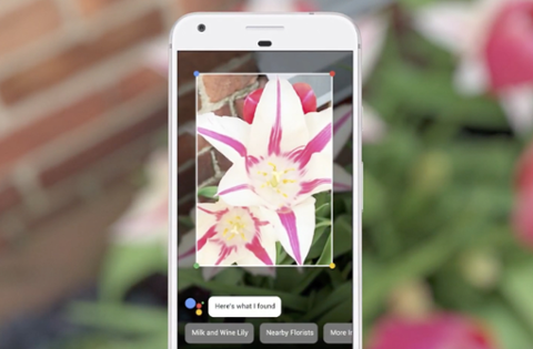 Go to article Google Lens and AR Apps Will Boost Hiring Pressure