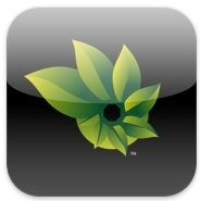Microsoft Photosynth logo