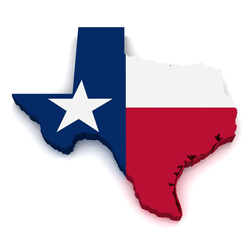Main image of article Texas Needs Health IT Pros, Especially Data Managers