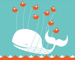 Main image of article The Fail Whale's Creator Reveals Her Inspiration (Video)