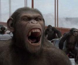 Main image of article CGI Puts 'Planet of the Apes' Up Where It Wants to Be