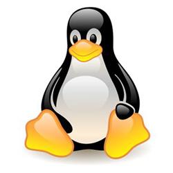Main image of article Demand for Linux Professionals is on the Rise