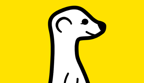 Go to article Meerkat and the Lessons of Imploding Apps