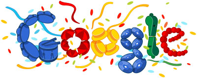 Google Doodle - Carnival 2012