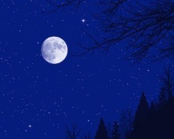 bigstock-Winter-moon-lit-night-backgrou-14089022