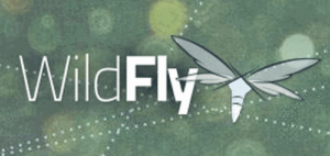 WildFly Logo