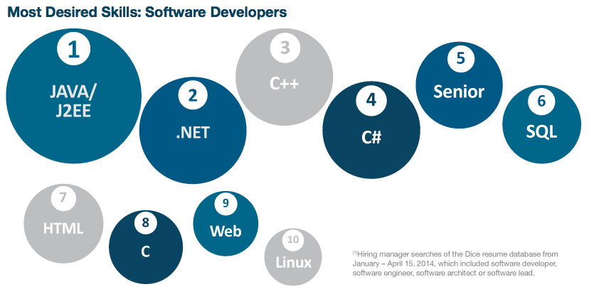 Most Desired Software Skills Graphic